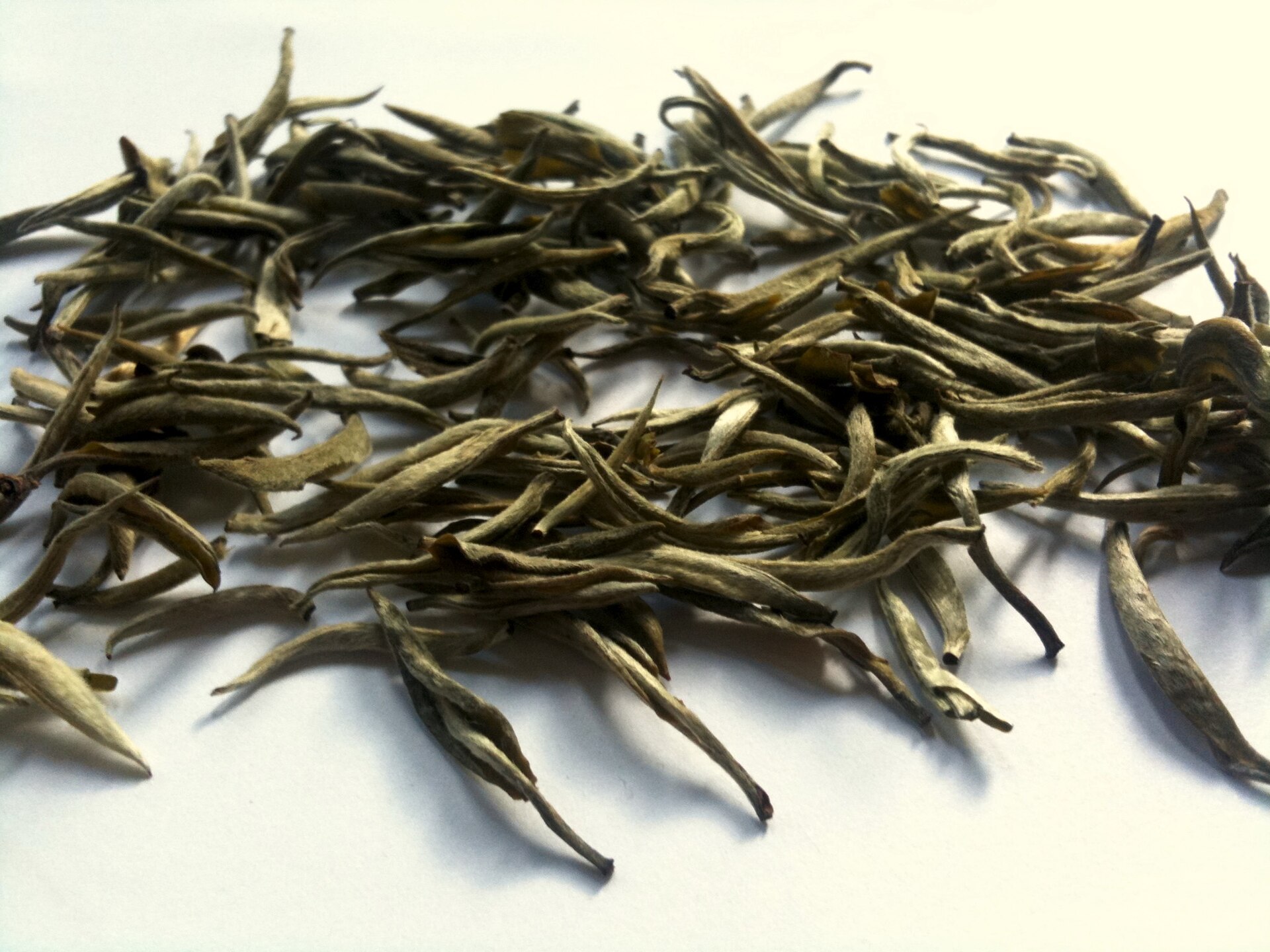 Silver Needle (Bai Hao Yinzhen)